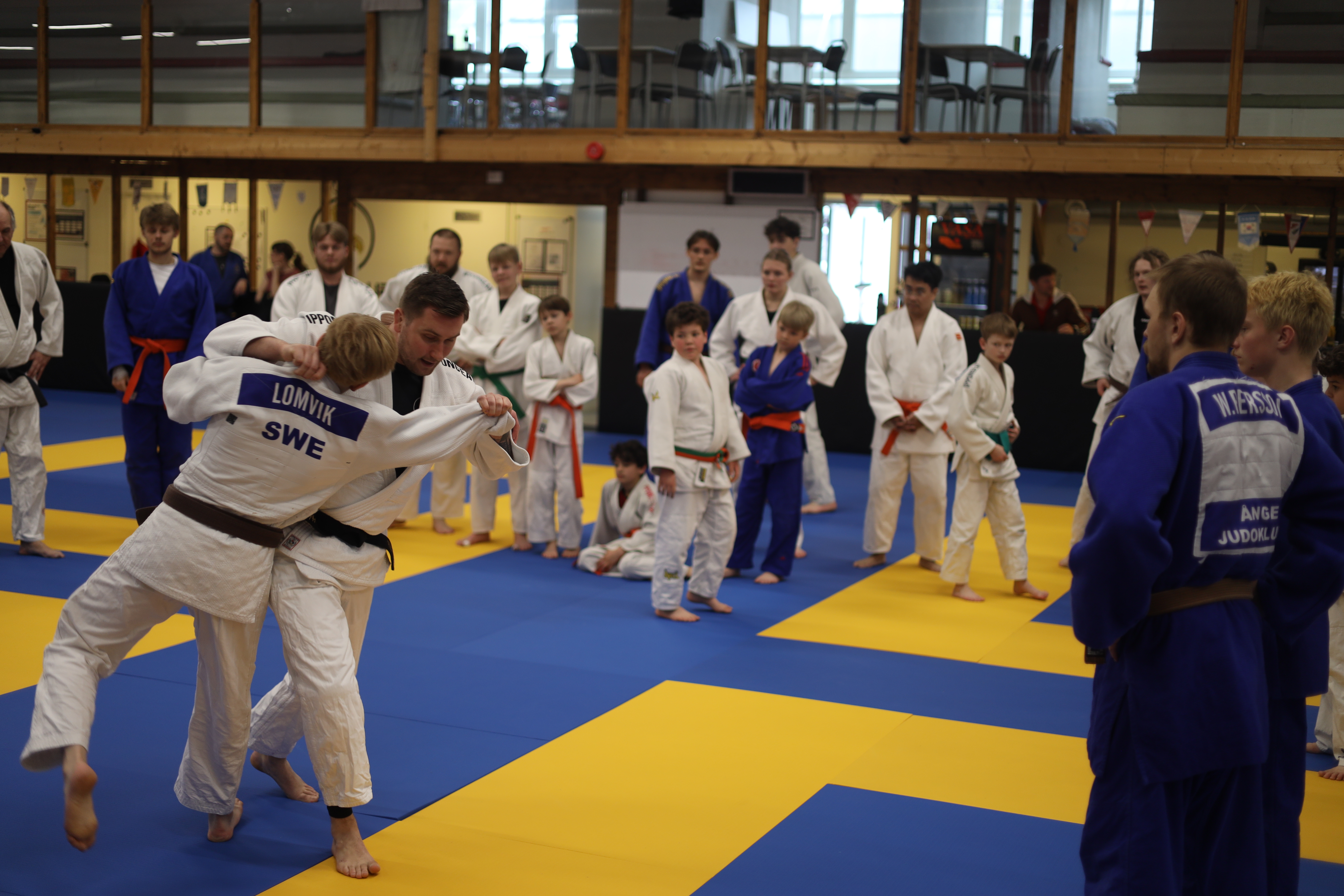 Judo